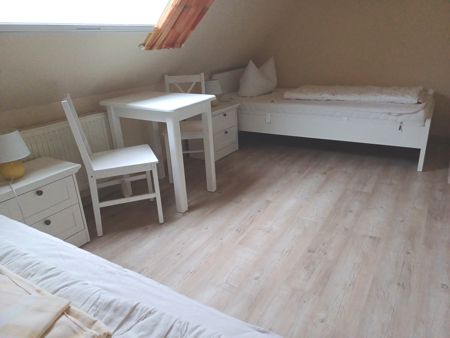 Verdunklungsrollo und Mückenschutz
